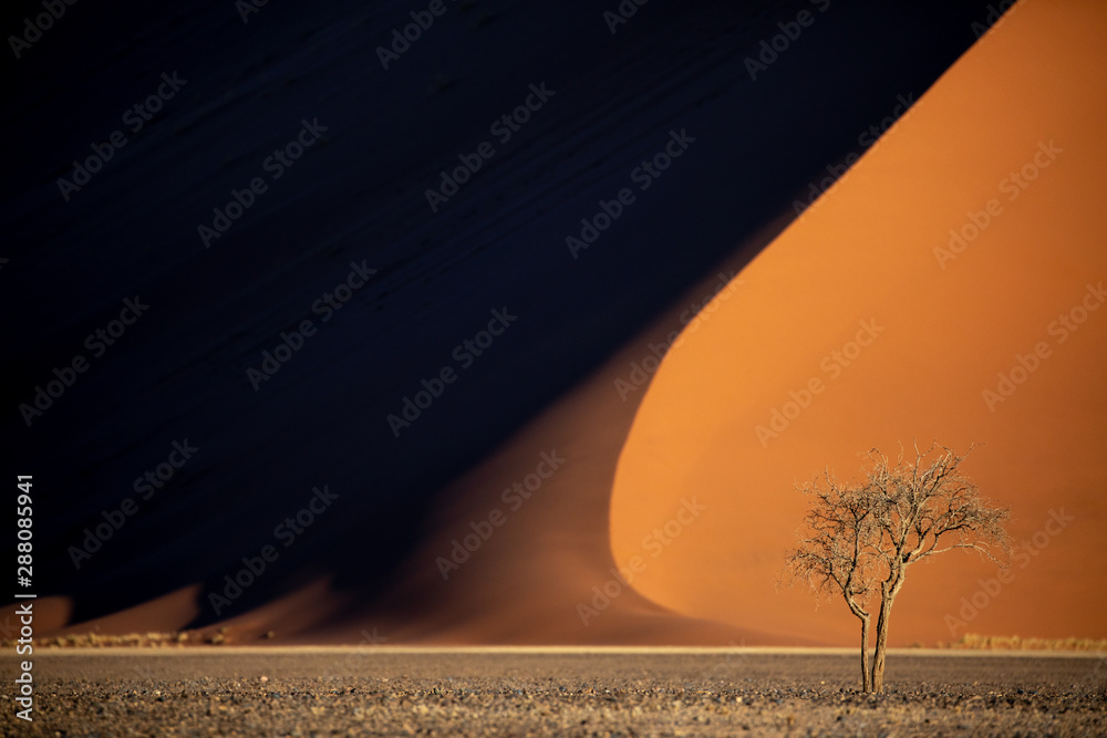 Deep colors of sand dunes during sunset. Sossusvlei, Namibia.