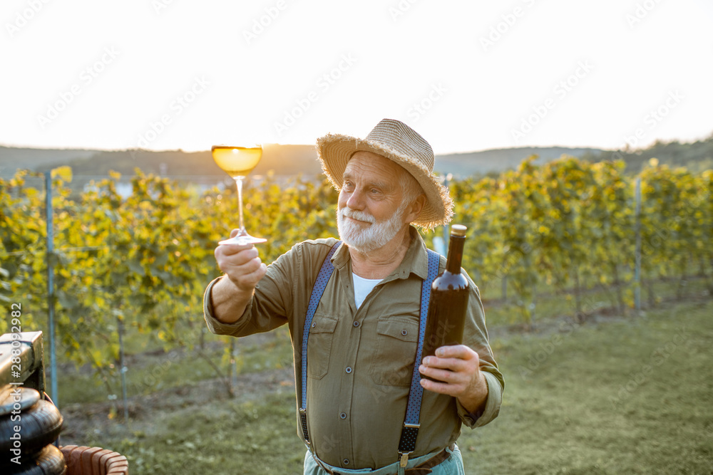 一位衣着考究的高级酿酒师在日落期间检查葡萄园葡萄酒质量的肖像