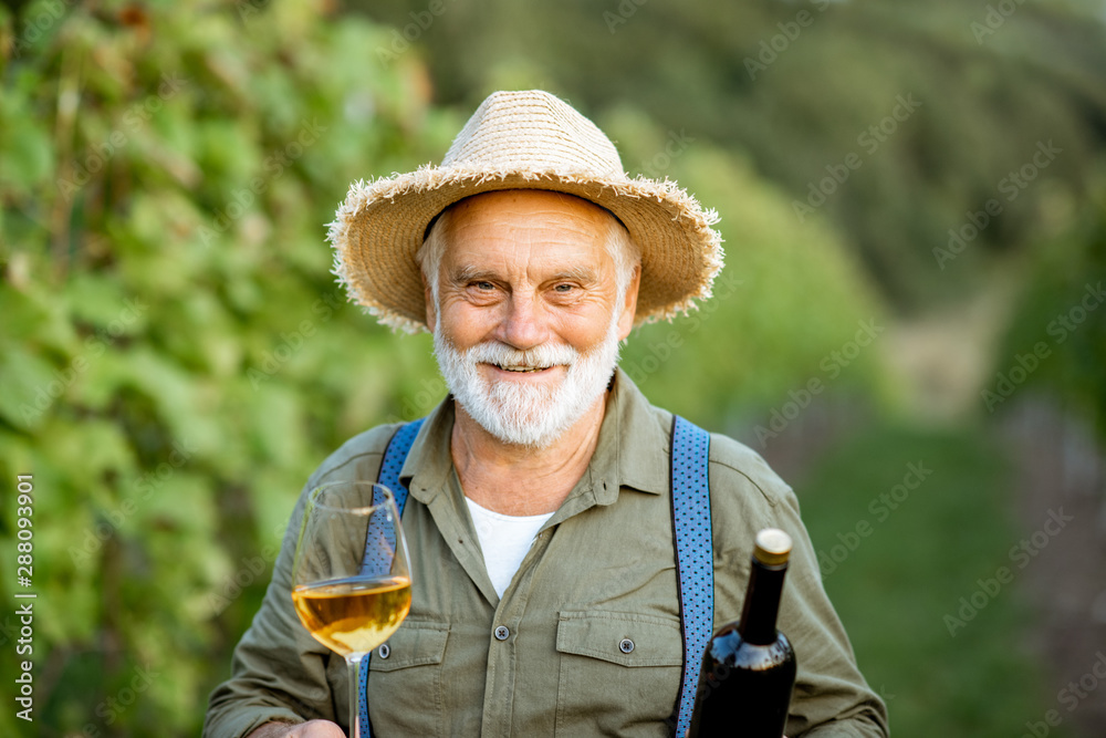 一位快乐的资深衣冠楚楚的酿酒师拿着酒杯站在那里检查葡萄酒质量的画像