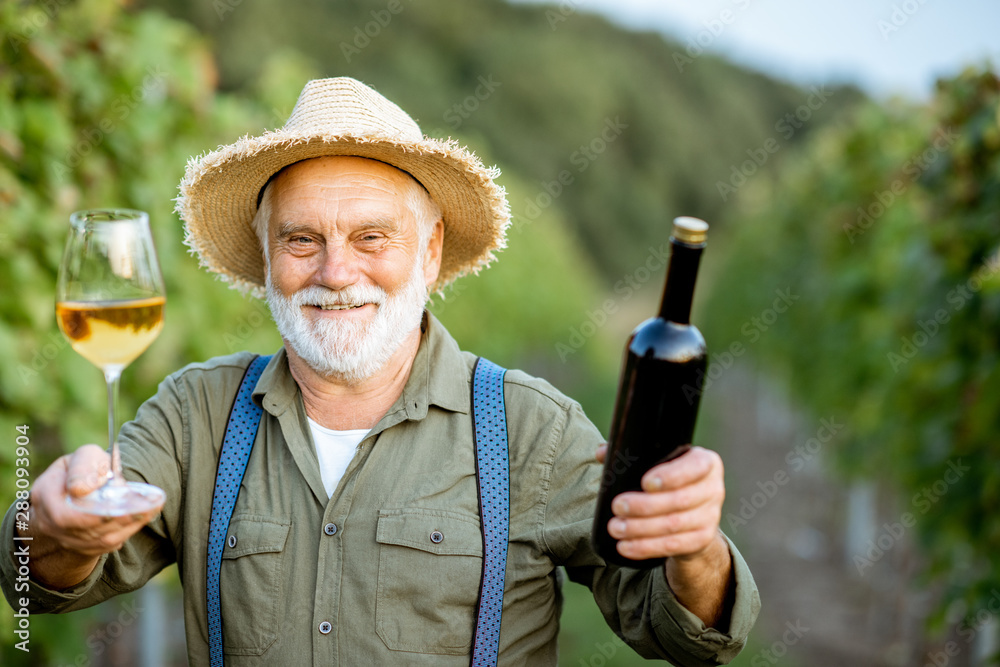 一位快乐的资深衣冠楚楚的酿酒师拿着酒杯站在那里检查葡萄酒质量的画像