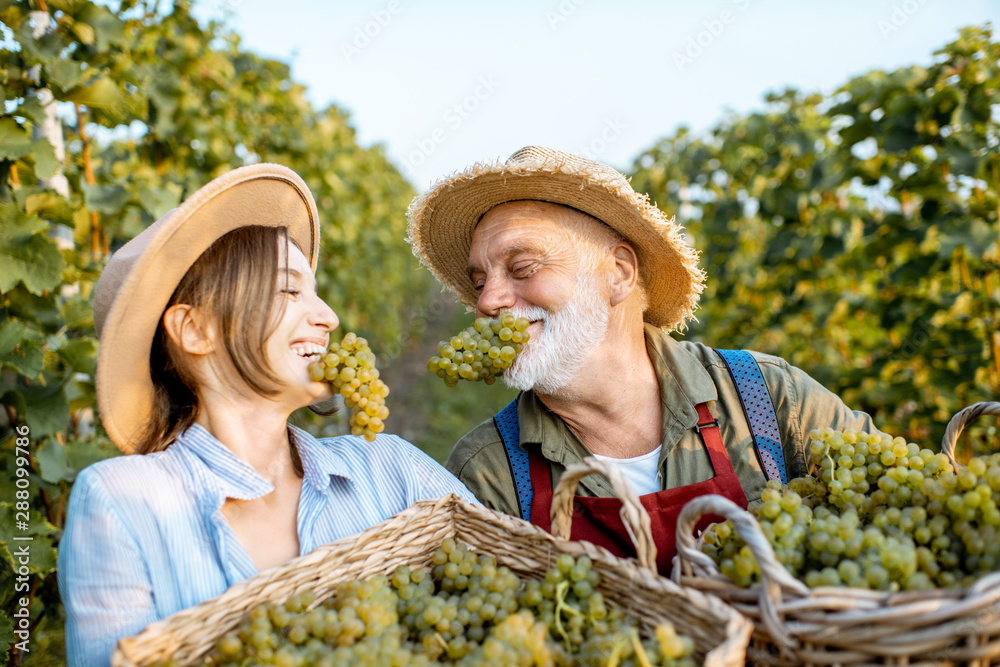 一个快乐的老年男子和一个年轻女子在街上吃新鲜采摘的葡萄的有趣画像