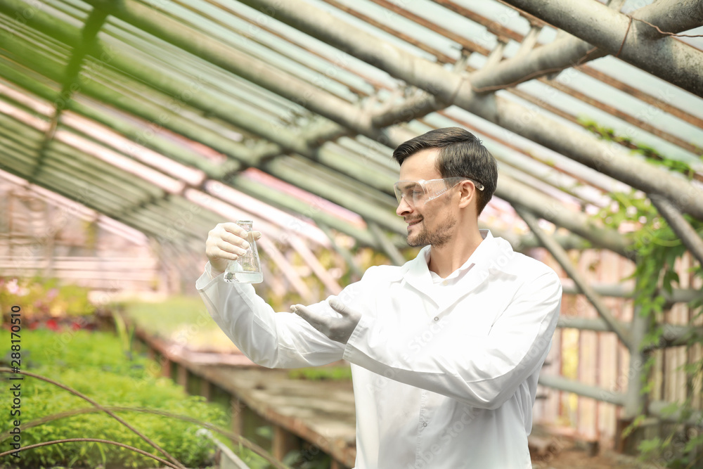 Male agricultural engineer working in greenhouse