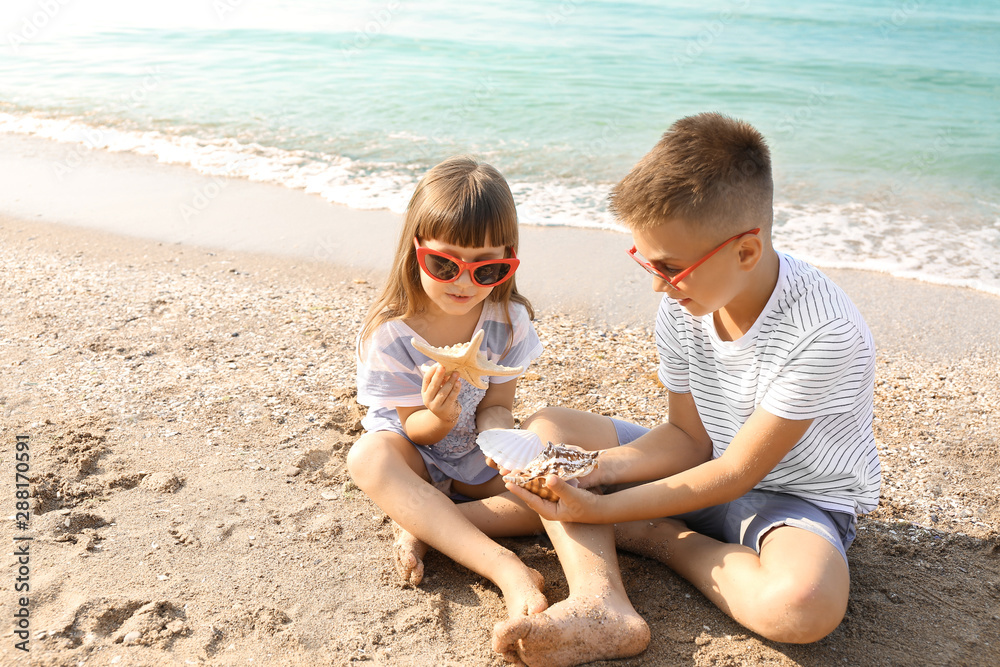 Children playing with shells on sea beach