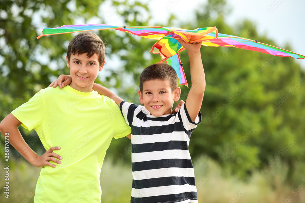 Little boys flying kite outdoors