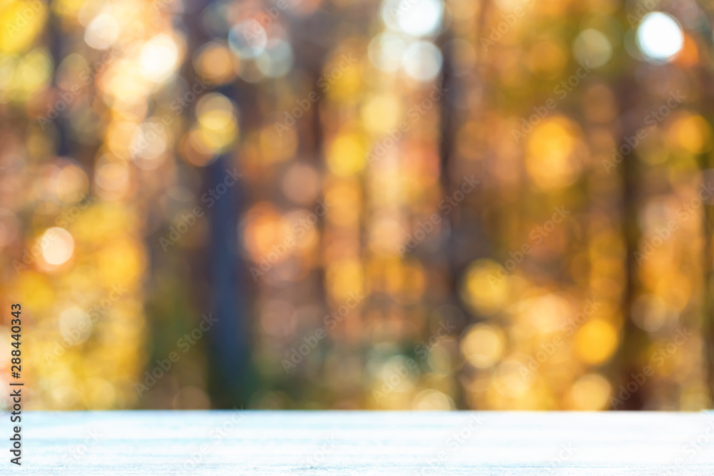 Blurred autumn forest background with wooden table foreground