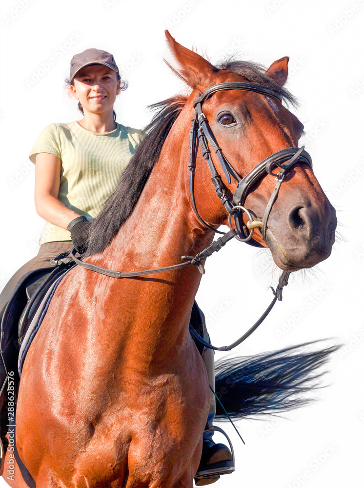 Woman posing on a horse (white background)