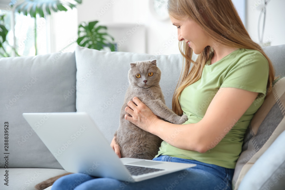 漂亮女人，带着可爱的猫和笔记本电脑坐在家里的沙发上