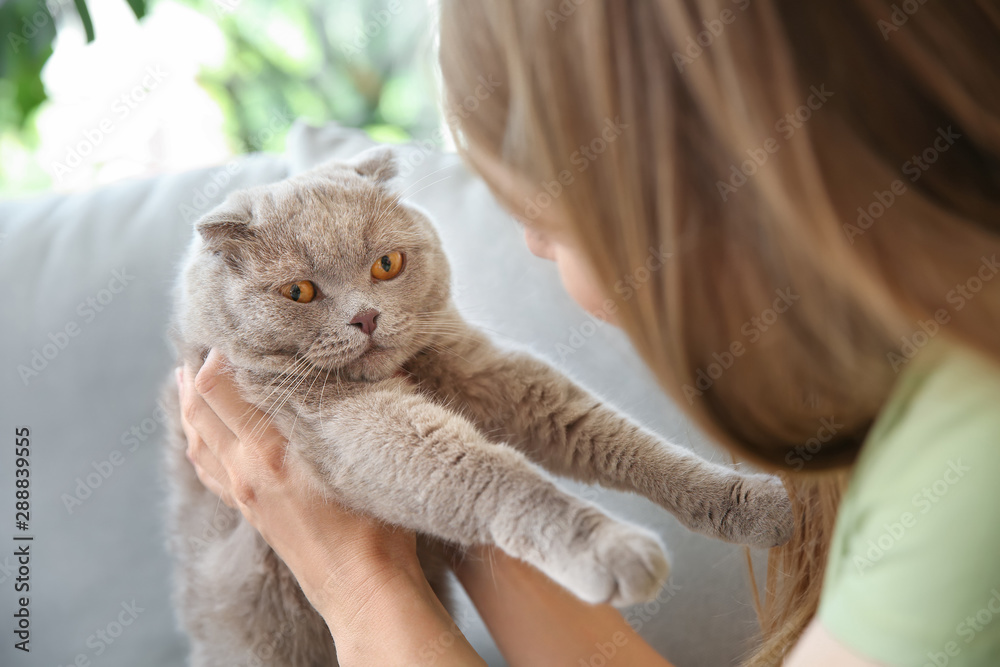 家里养着可爱猫咪的美女