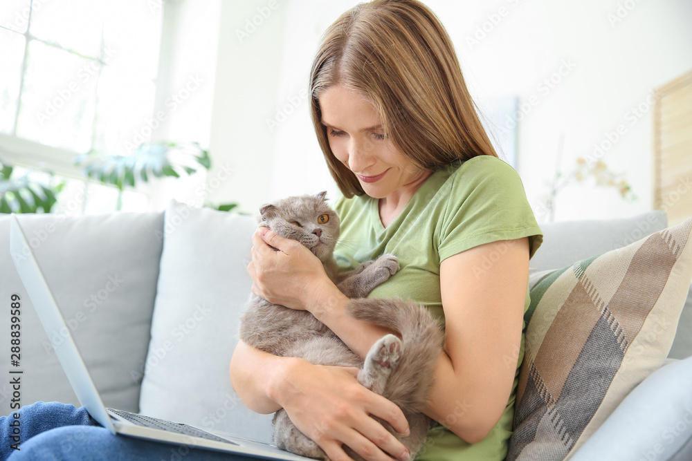 漂亮女人，带着可爱的猫和笔记本电脑坐在家里的沙发上