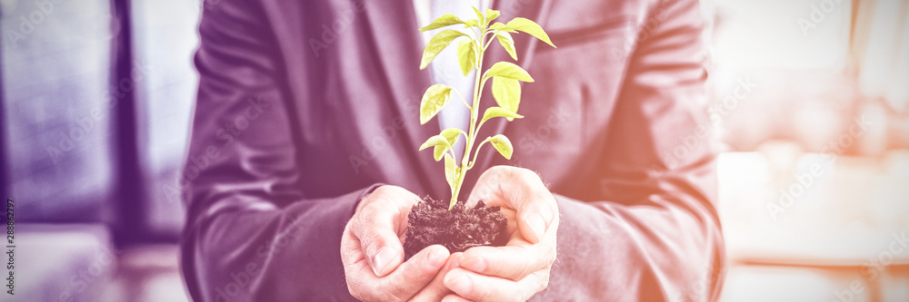 Mid section of businessman holding plant