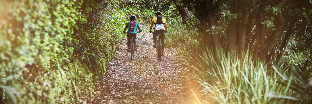 Rear view of biker couple cycling in countryside