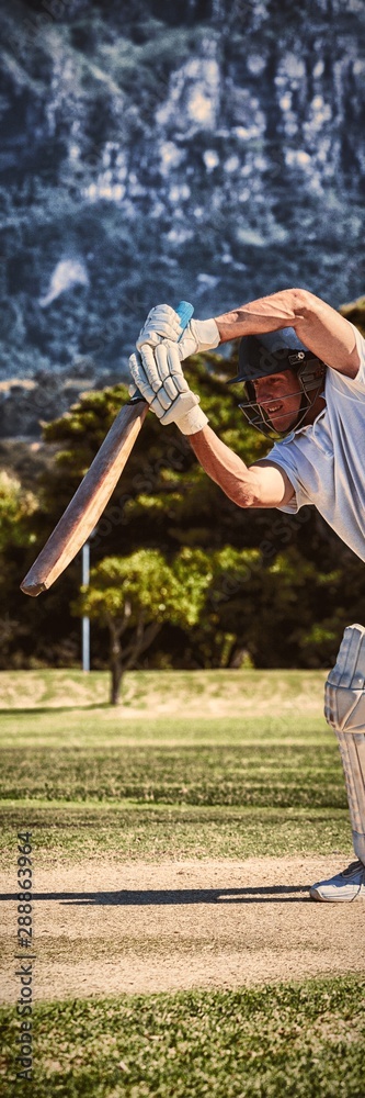 Cricket player playing on field during sunny day