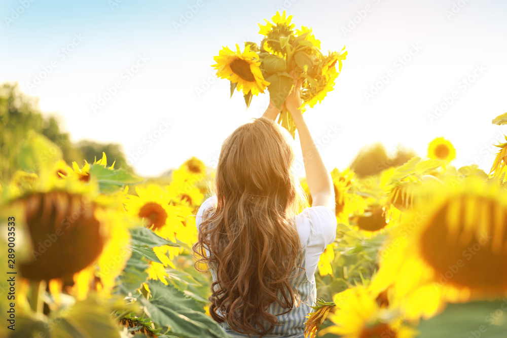 夏日向日葵地里美丽的年轻女子