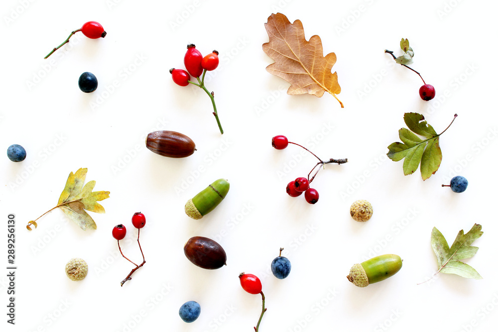 Autumn style photo .Background of colorful autumn fruits and leaves, fall season concept. Flat lay, 