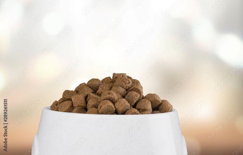 Dog food in Silver Bowl on a Background