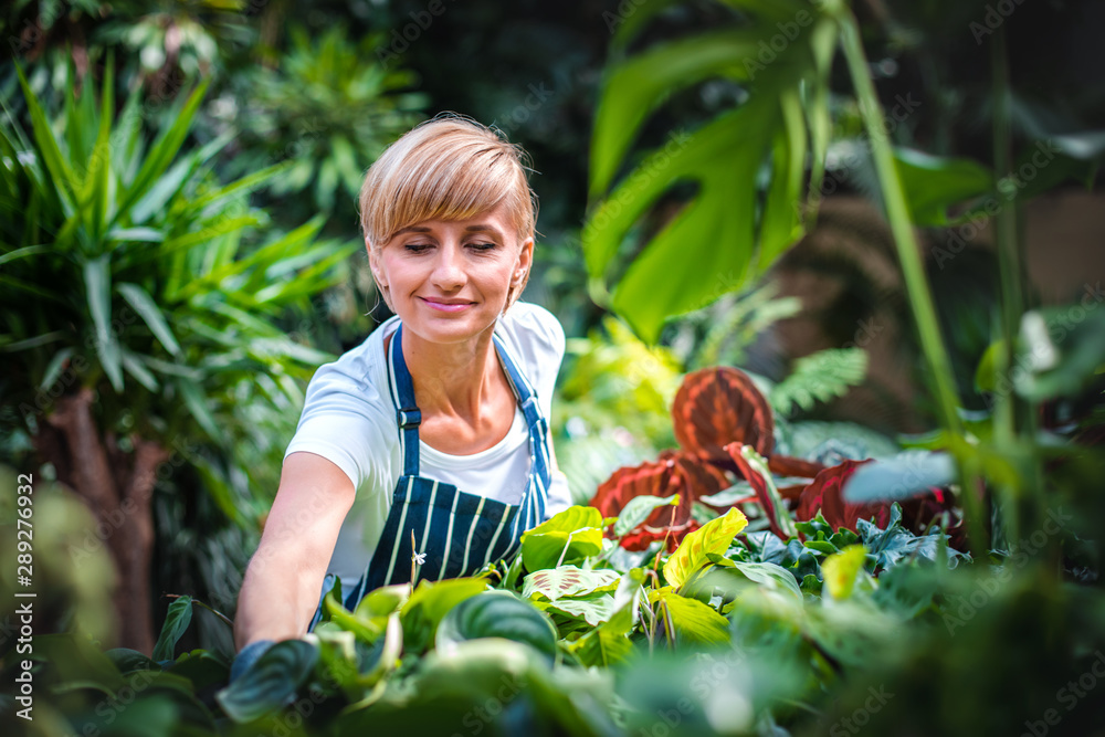 Smiling employee during work in garden center