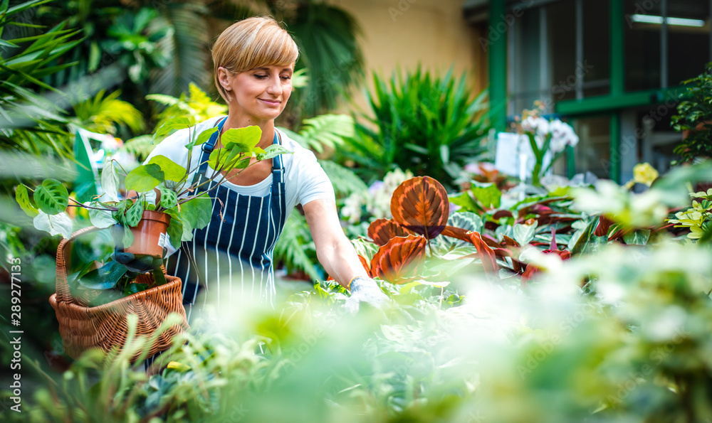 Smiling employee during work in garden center