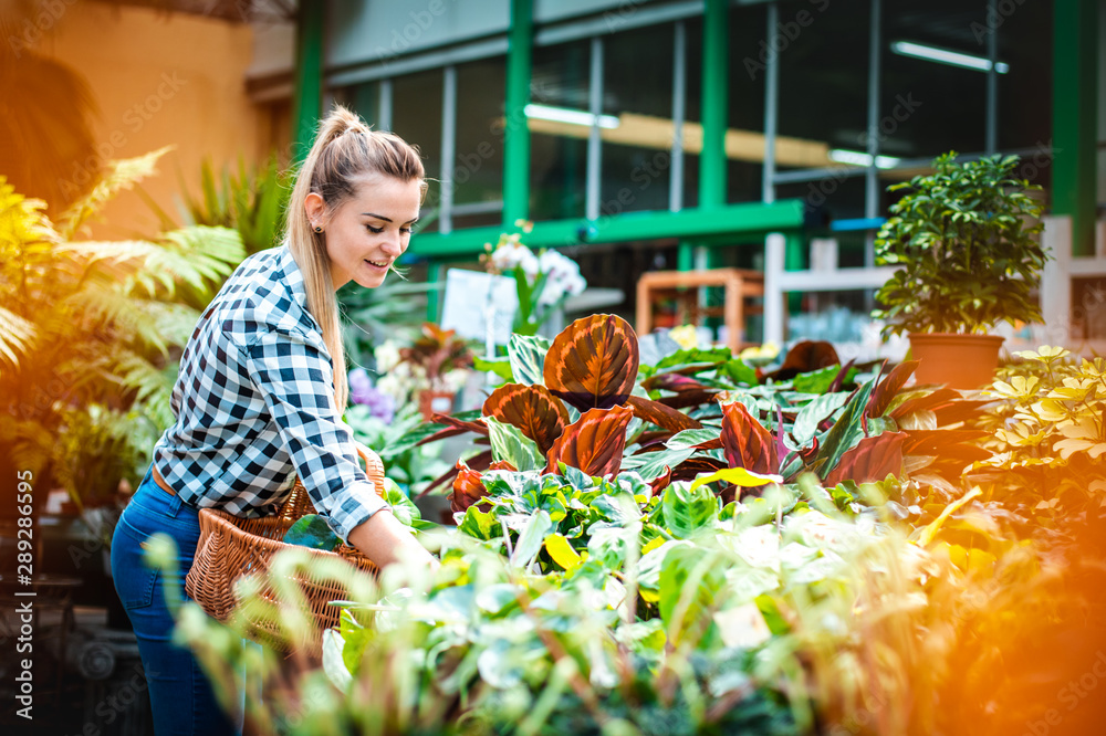 Customer woman in garden center looking for plants