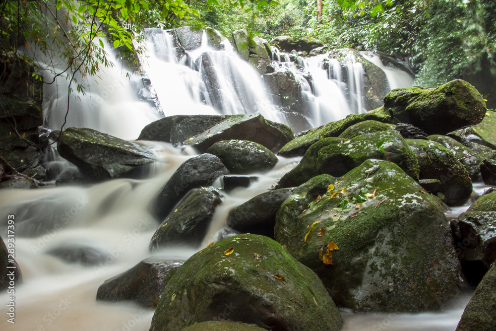 waterfall in forest