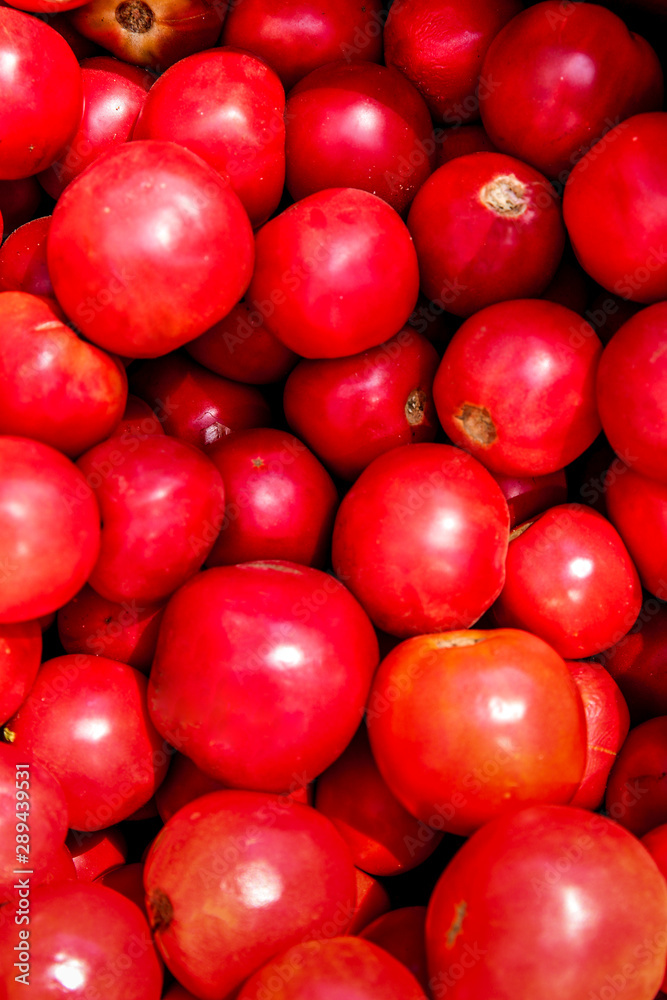 Heap of tasty ripe tomatoes