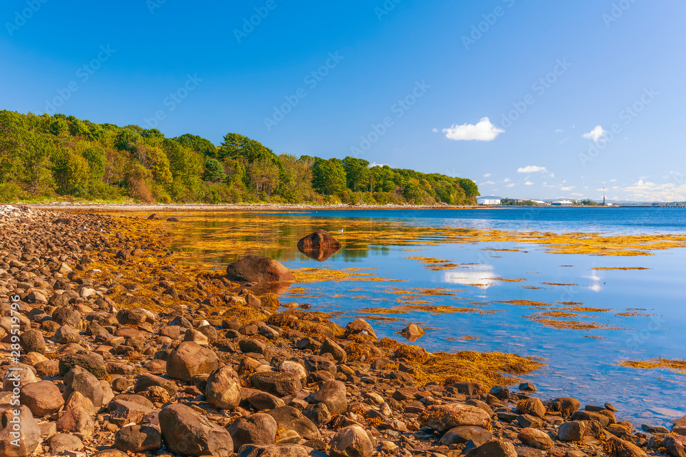 Rocky coastline of Penobscot Bay in Moose Point State Park.Maine.USA