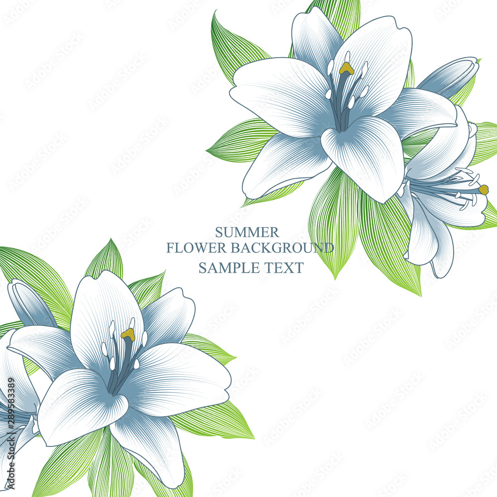 Hand-drawn lily flower with green tropical leaves . Vector element for design.