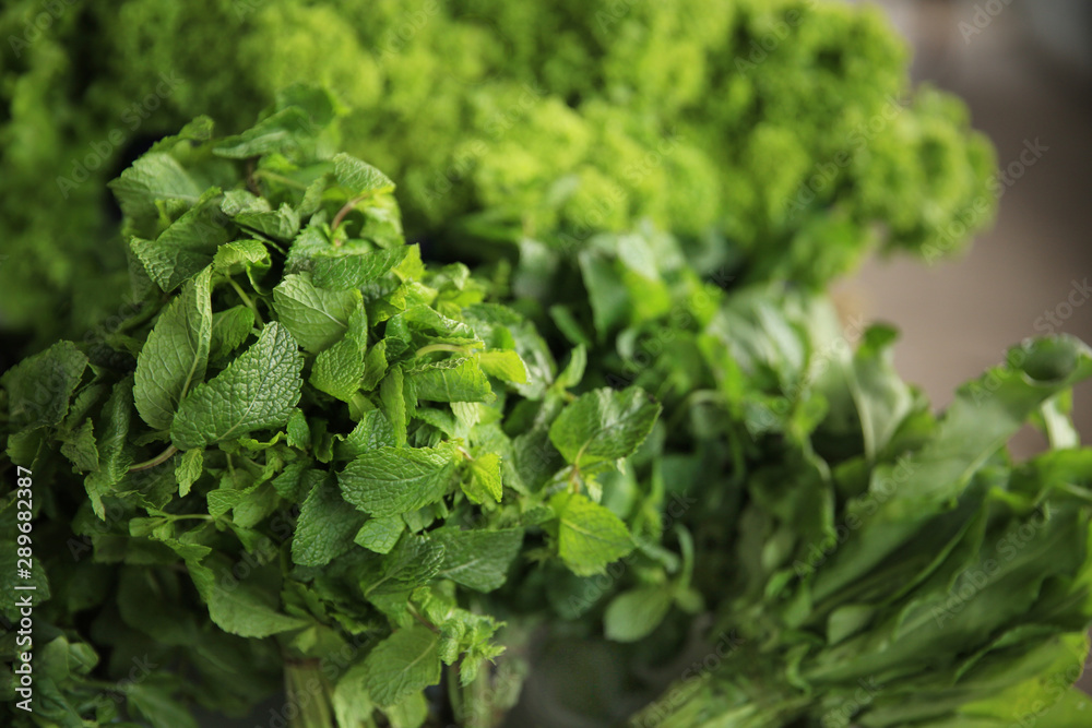 Bunch of fresh mint, closeup