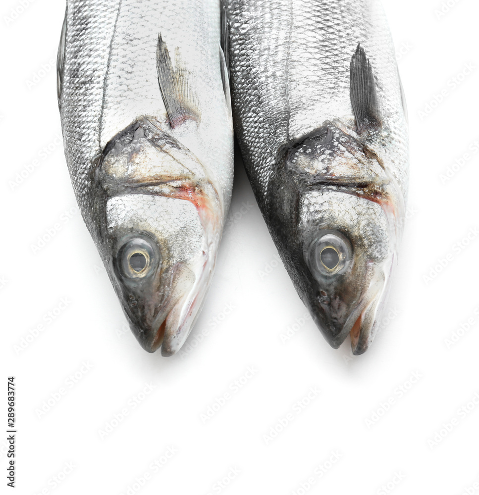 Fresh seabass fish on white background