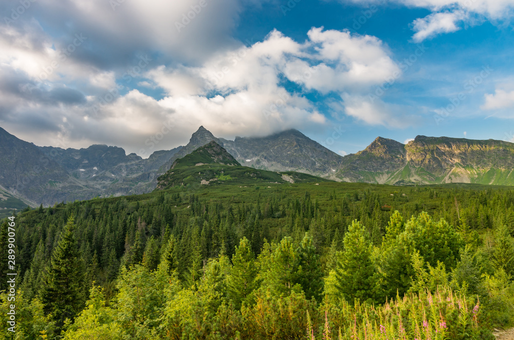 Mountain landscape, Tatra mountains, Poland, Koscielec and Swinica peaks in summer