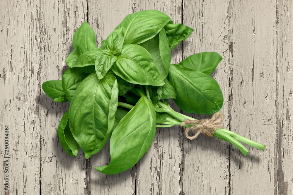 Green basil leaves on wooden background