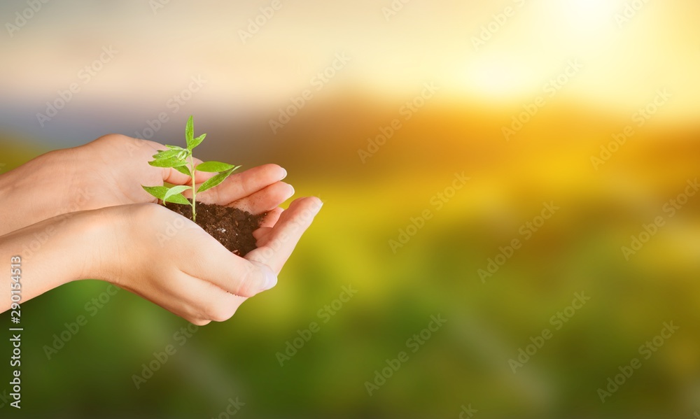 地球生态生活星球植物农业背景