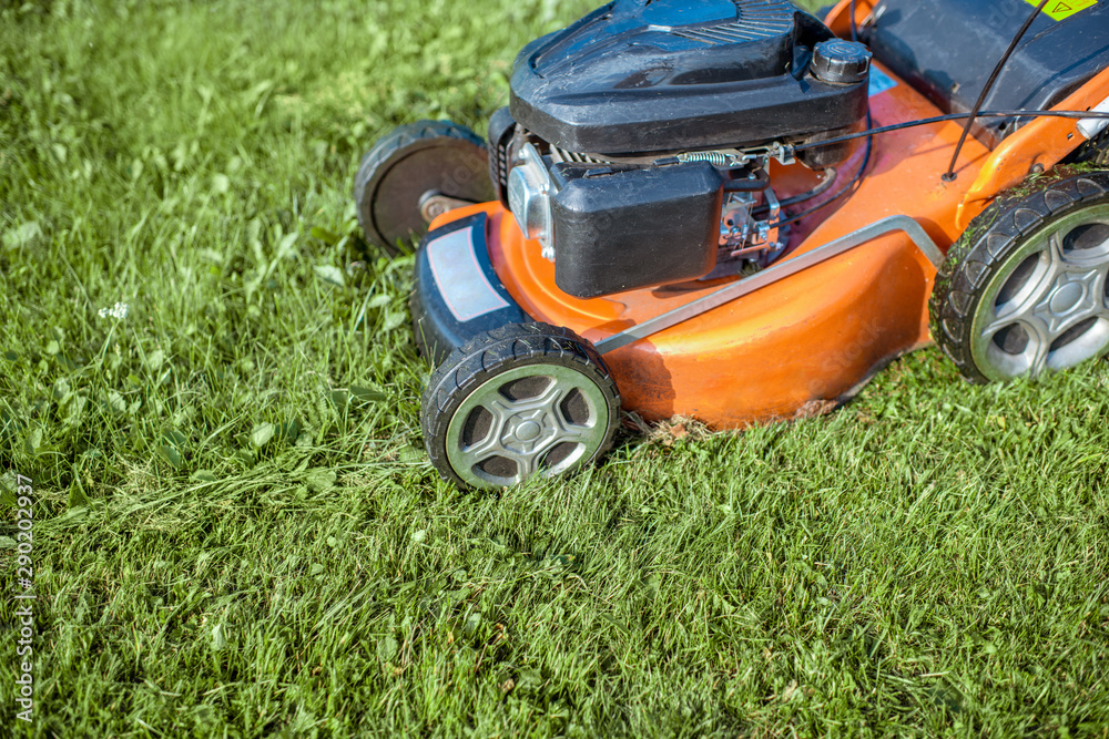 Gasoline lawn mower cutting grass, close-up. Backyard care concept