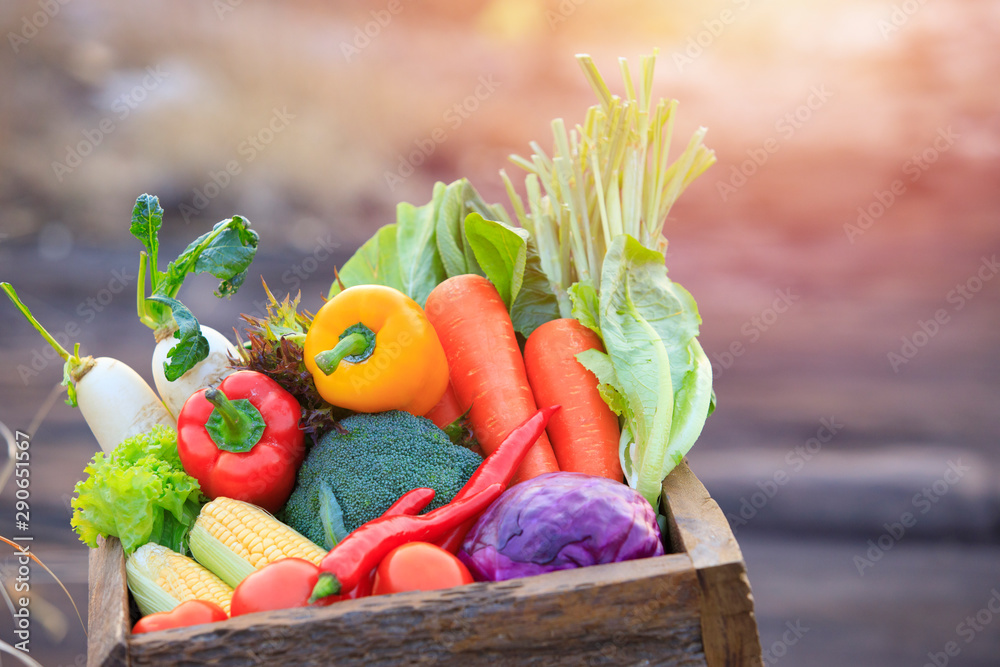 Organic vegetables on wood ,Fresh organic vegetables.Organic vegetables and fruits, Food background.