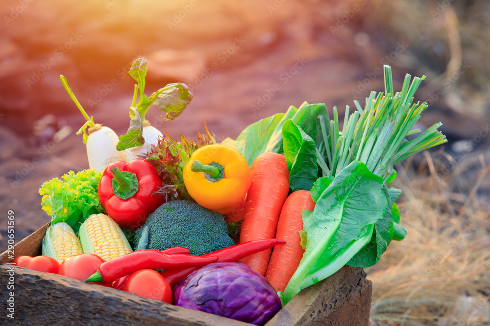 Organic vegetables on wood ,Fresh organic vegetables.Organic vegetables and fruits, Food background.