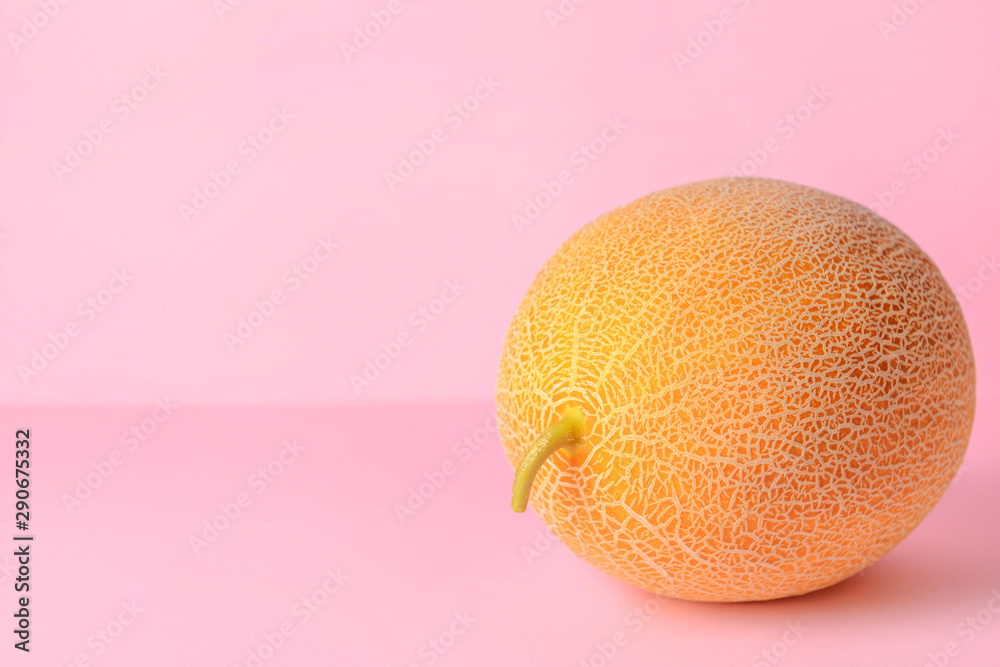 Sweet ripe melon on color background