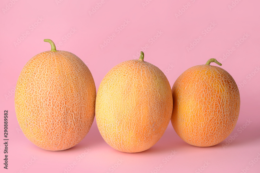 Sweet ripe melons on color background