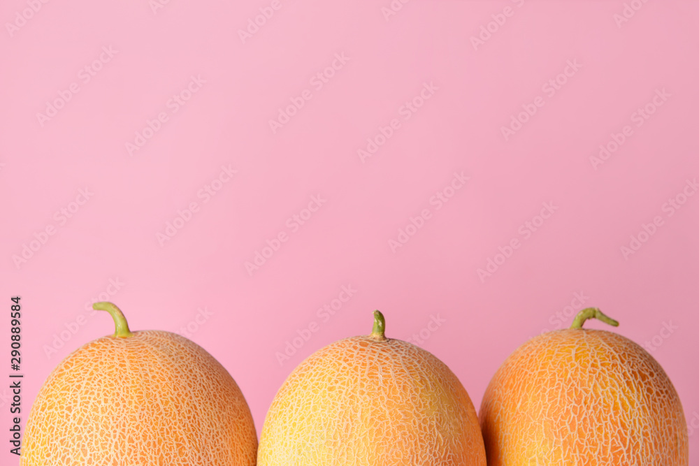 Sweet ripe melons on color background