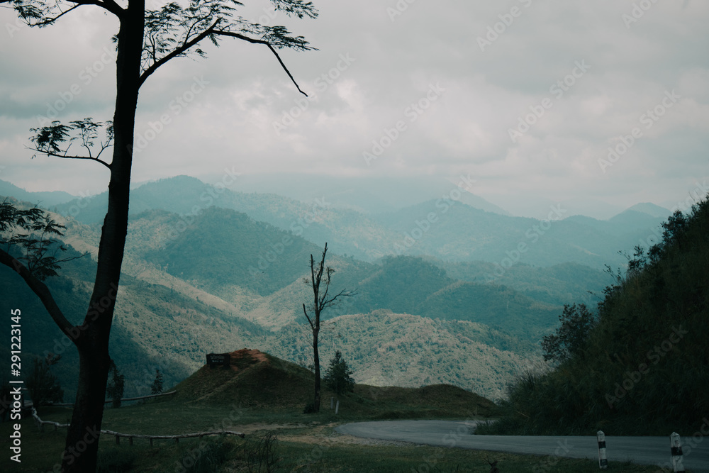 山中风景