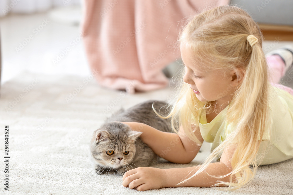 家里有一只可爱的猫的小女孩