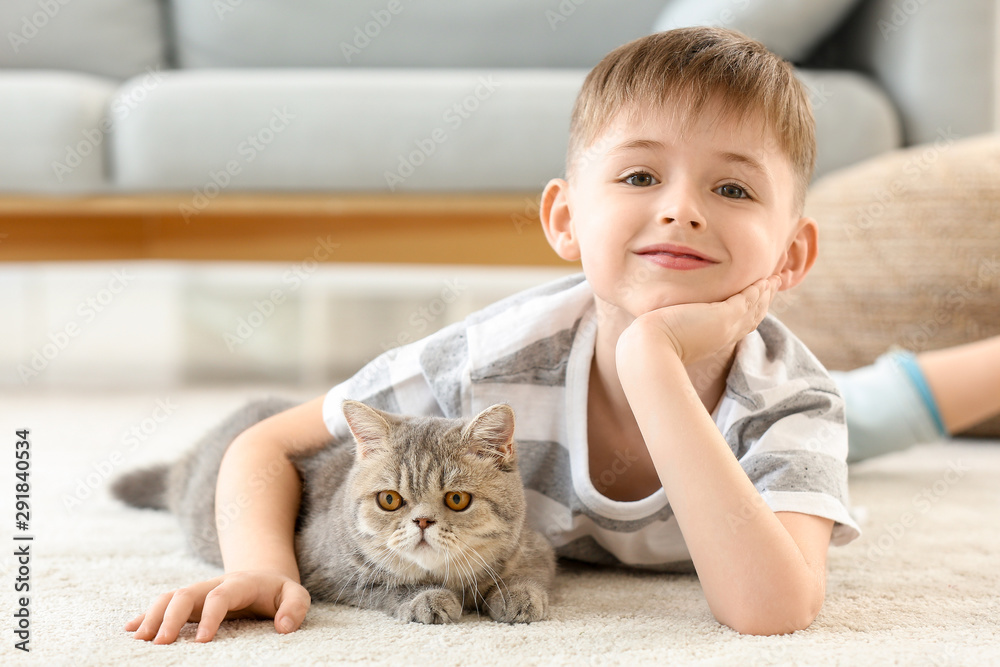 家里有一只可爱的猫的小男孩