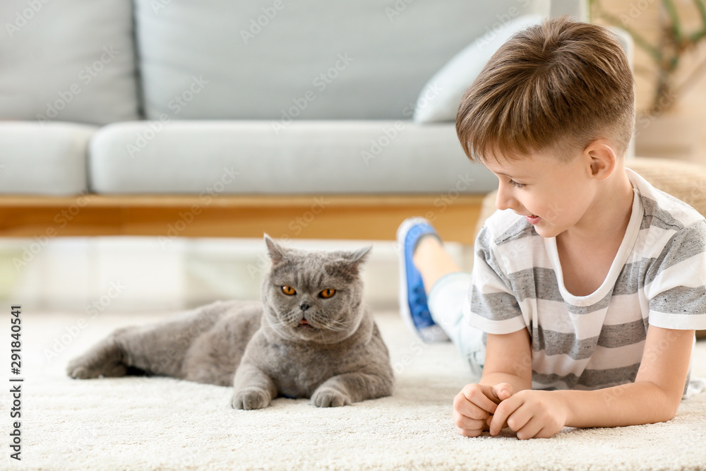 Little boy with cute cat at home