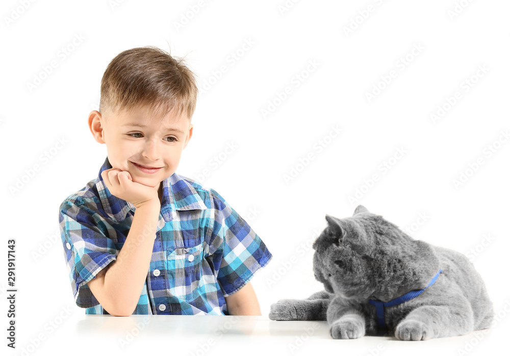 Little boy with cute cat on white background