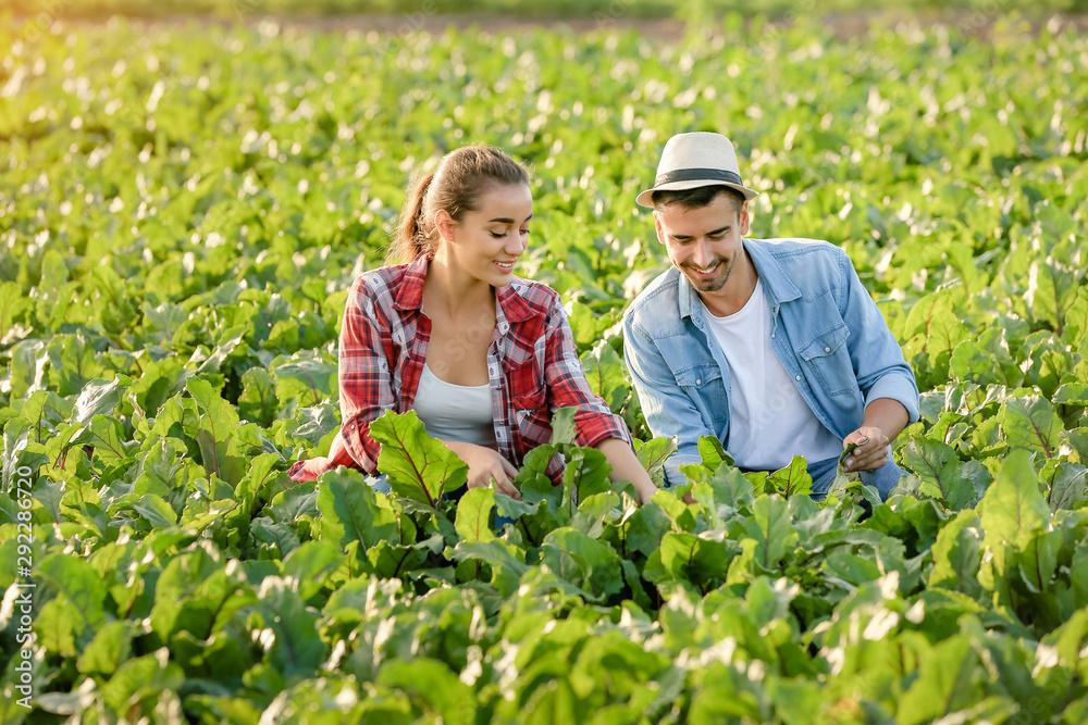 Young farmers working in field