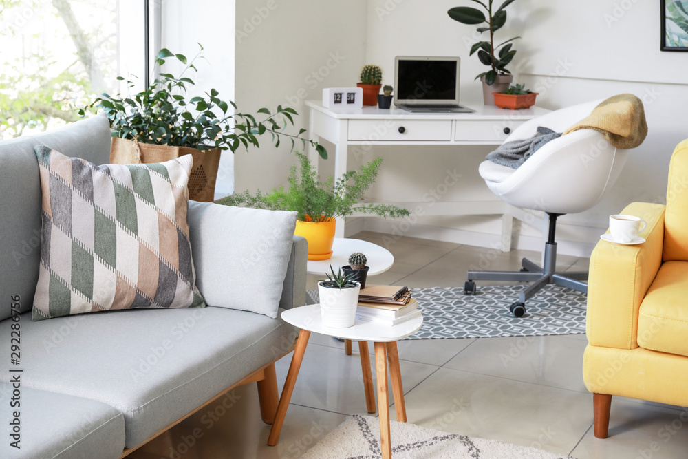 Stylish interior of room with beautiful houseplants