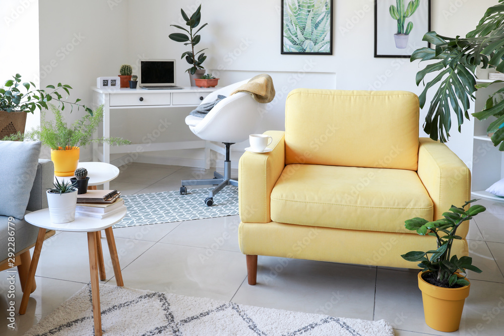 Stylish interior of room with beautiful houseplants