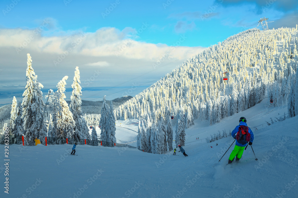 Ski resort with skiers and snowy pine trees, Transylvania, Romania