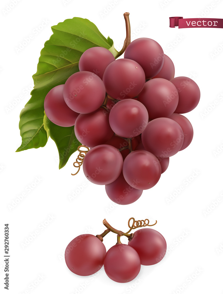 Grapes. Fresh fruit, 3d realistic vector