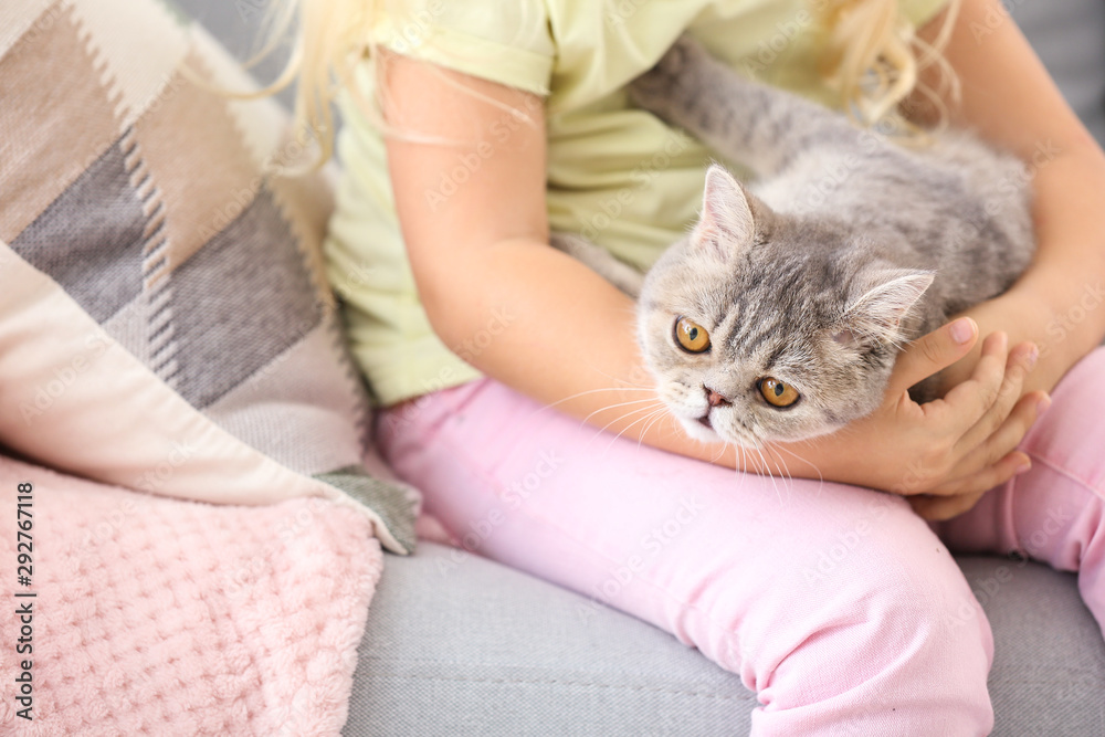 家里有可爱猫咪的小女孩