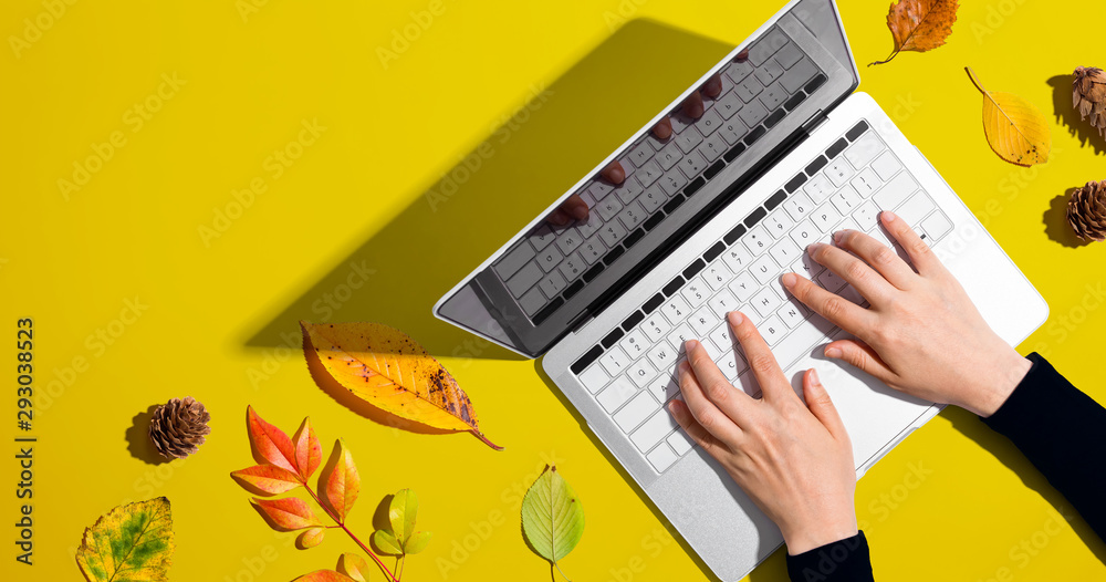 Person using a laptop computer with autumn leaves - overhead view