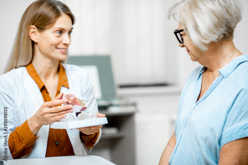 Female ophthalmologist showing the eye model to a senior patient during a medical consultation in th